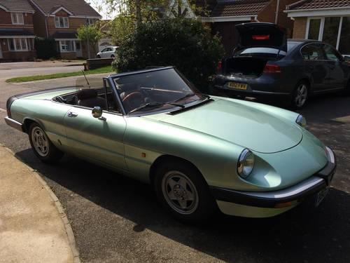 1985 Alfa Romeo Spider for sale