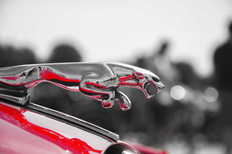 Jaguar cars mascot